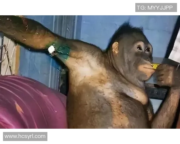 足球十大球星生死瞬间揭秘 震撼背后隐藏的悲剧故事 足球十大球星生死瞬间揭秘 震撼背后隐藏的悲剧故事