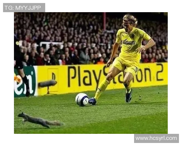 动物足球球星卡通版精彩合集带你感受绿茵场上的萌趣对决